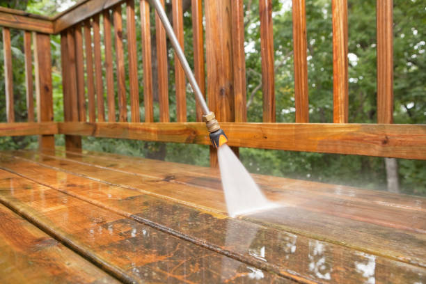 Best Roof Pressure Washing  in Darmstadt, IN